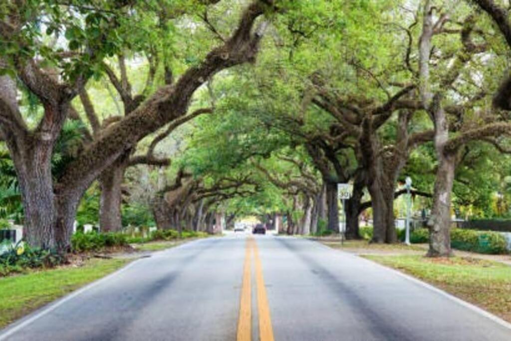 My Lovely Home In Miami 15 Minutes From The Beach ภายนอก รูปภาพ